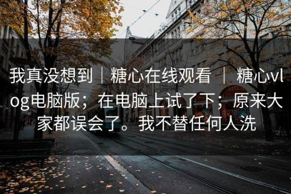 我真没想到｜糖心在线观看 ｜ 糖心vlog电脑版；在电脑上试了下；原来大家都误会了。我不替任何人洗