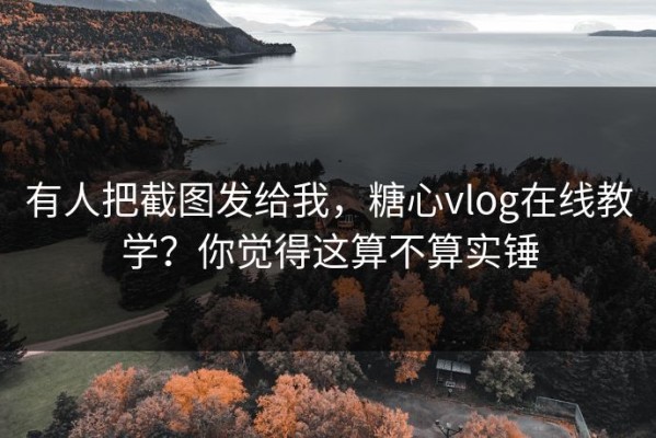 有人把截图发给我，糖心vlog在线教学？你觉得这算不算实锤