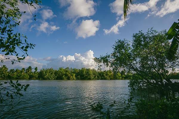 今天早上醒来：17c——17c.com，在首页翻了半天；这次终于说清楚…？我把话放这：别冲动