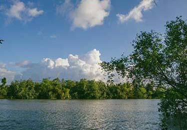 每日大赛今日到底哪里“反差”？答案在转折：简短但关键更能解释，真正在意的点是这个