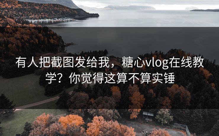有人把截图发给我，糖心vlog在线教学？你觉得这算不算实锤